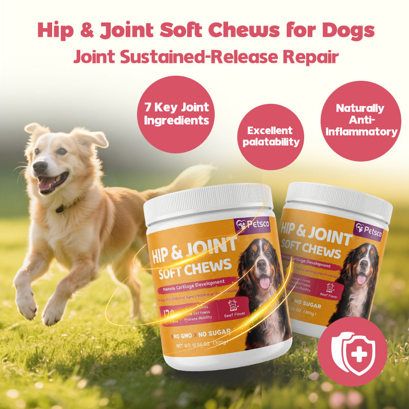 Petsco Chondroitin Soft Chews for Dogs Natural Joint Health Supplements with MSM Glucosamine & Chondroitin Sulfate 120 Soft Chews Beef Flavor