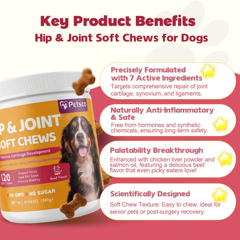 Petsco Chondroitin Soft Chews for Dogs Natural Joint Health Supplements with MSM Glucosamine & Chondroitin Sulfate 120 Soft Chews Beef Flavor