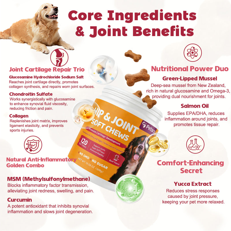 Petsco Chondroitin Soft Chews for Dogs Natural Joint Health Supplements with MSM Glucosamine & Chondroitin Sulfate 120 Soft Chews Beef Flavor