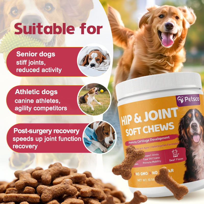Petsco Chondroitin Soft Chews for Dogs Natural Joint Health Supplements with MSM Glucosamine & Chondroitin Sulfate 120 Soft Chews Beef Flavor